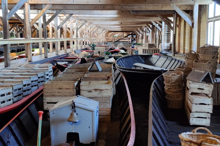 BroekerVeiling Cruise