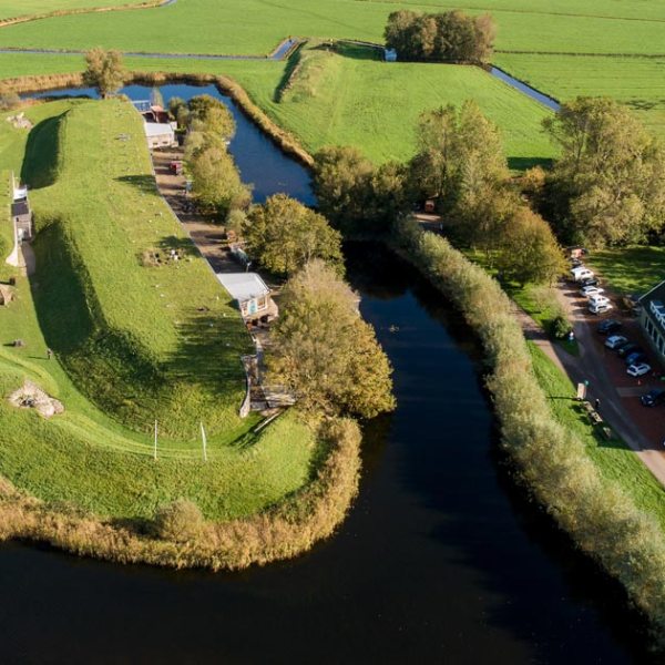 a garden with water in the background