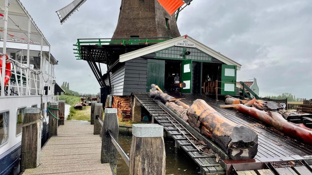zaanse schans cruise