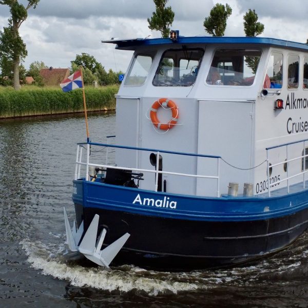 A blue and white passenger boat on a river with trees and a cloudy sky.